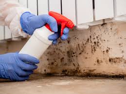 Reliable Chesterland, OH Mold Prevention & Removal  Solutions